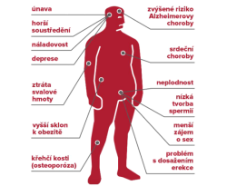 Přirozen&eacute; způsoby, jak zv&yacute;&scaron;it hladinu testosteronu