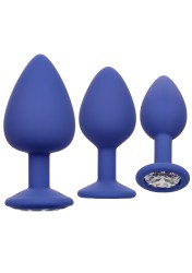 Calexotics - Cheeky Gems Purple sada análnych kolíkov