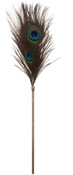 Taboom Dona Peacock Tickler pierko na šteklenie